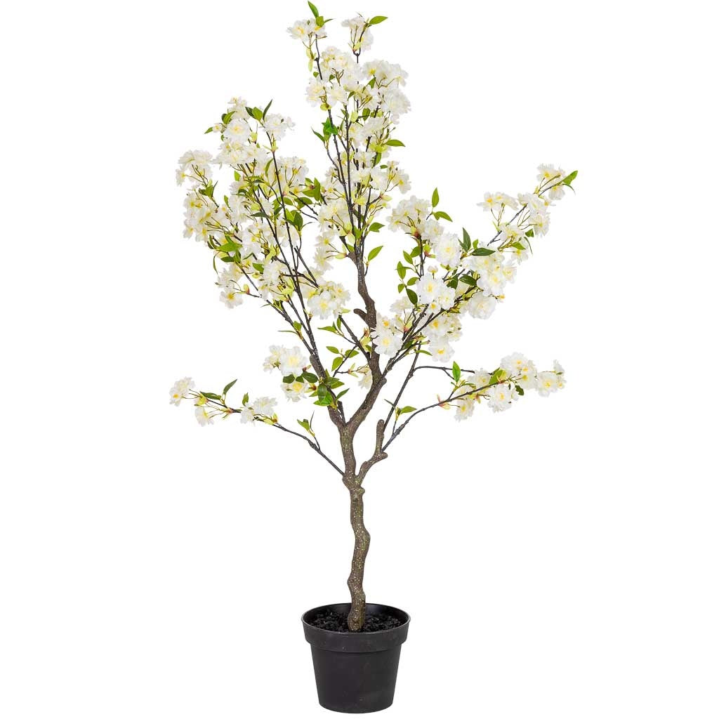 Arbol cerezo