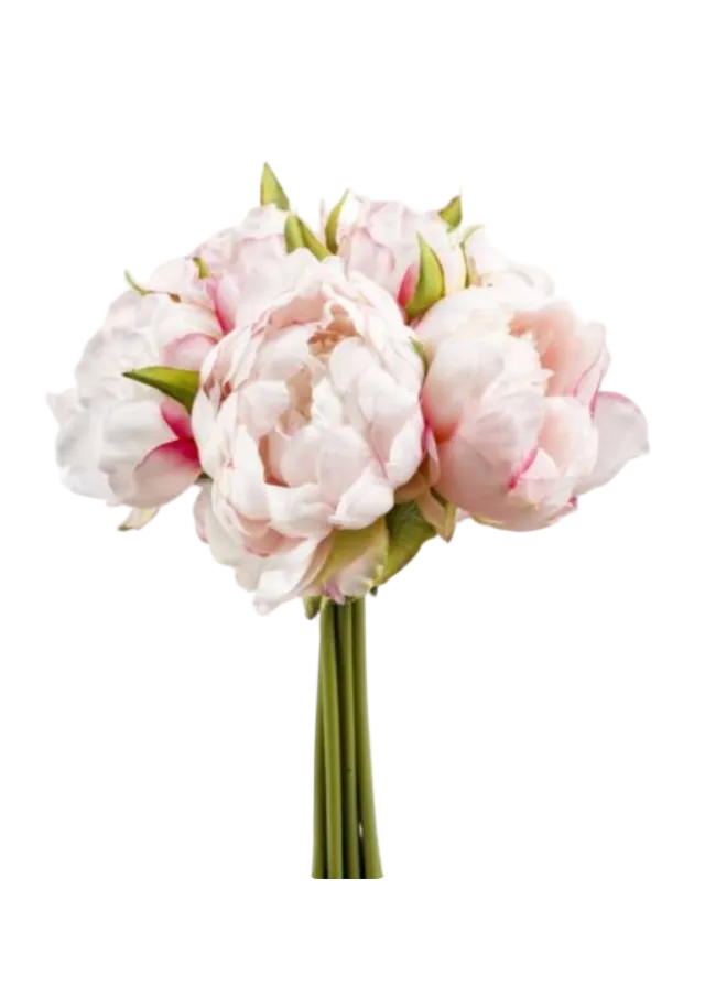 Bouquet peonía rosa