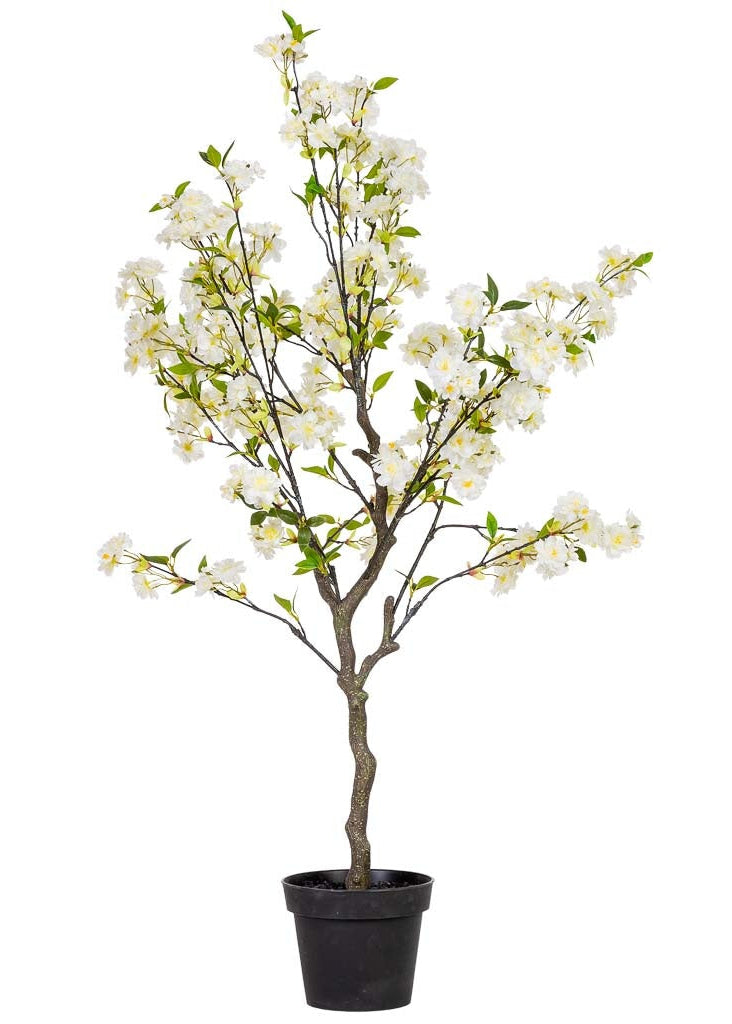 Arbol cerezo