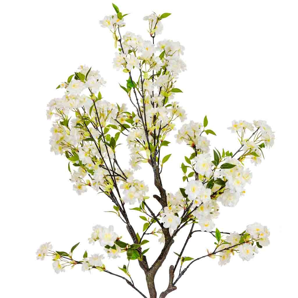 Arbol cerezo