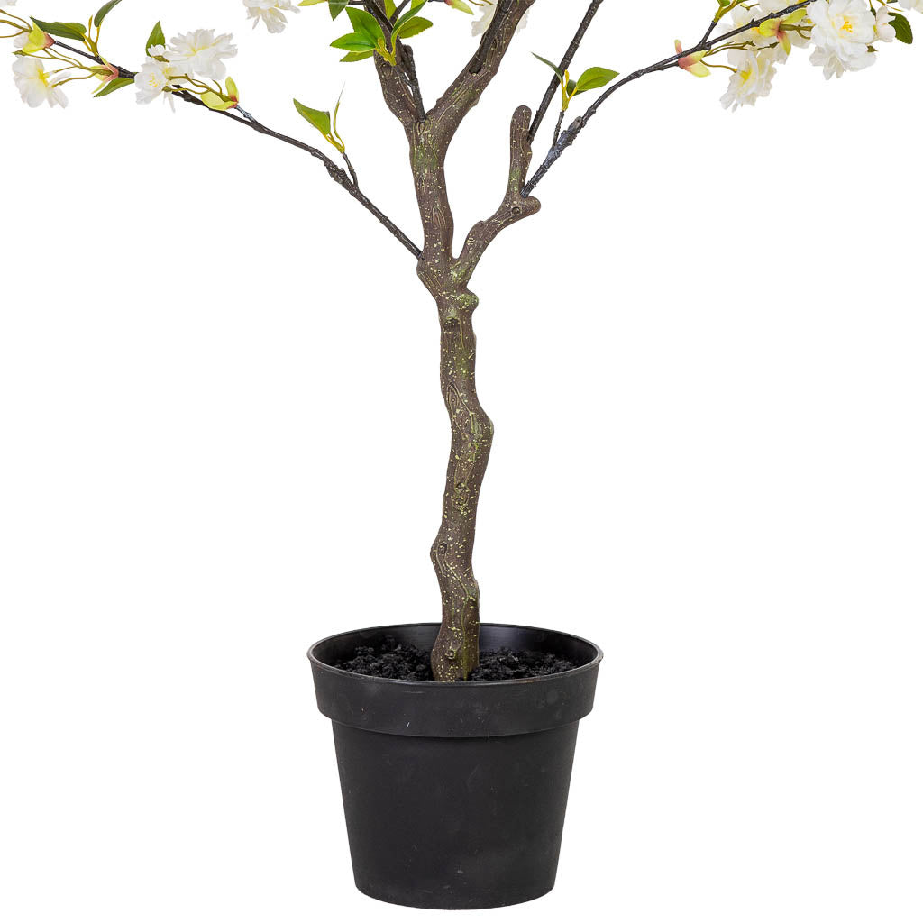 Arbol cerezo
