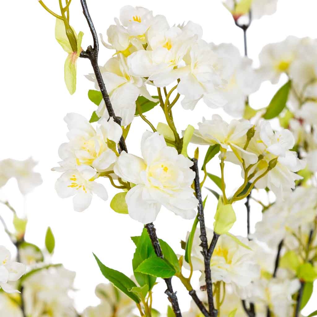 Arbol cerezo