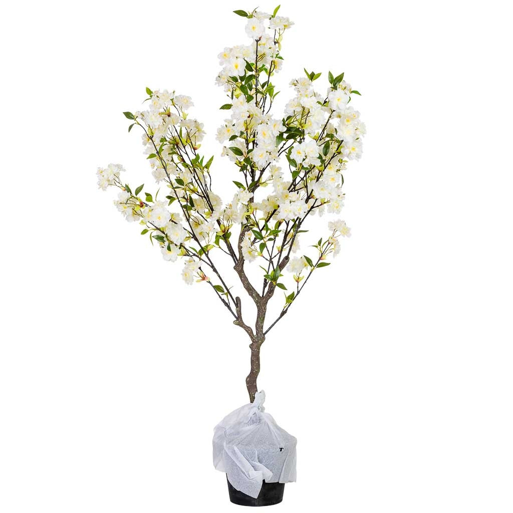 Arbol cerezo