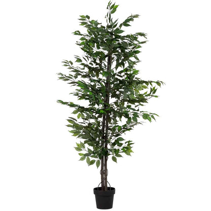 Planta