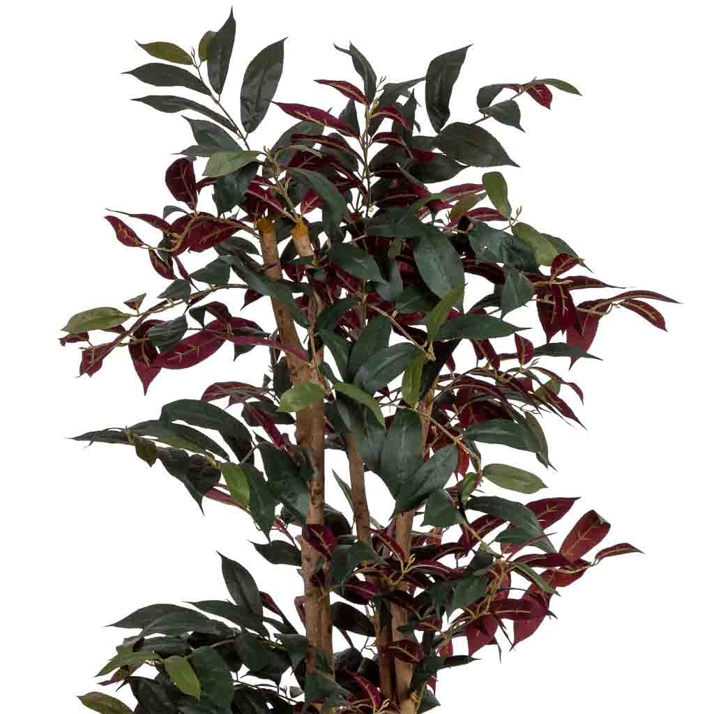 Arbol