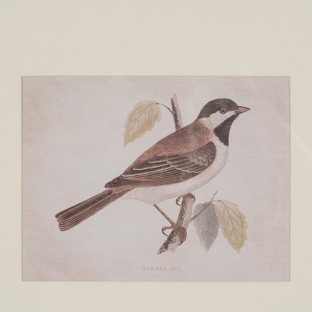 CUADRO IMPRESIÓN PÁJAROS 2/M 43 X 2 X 53 CM