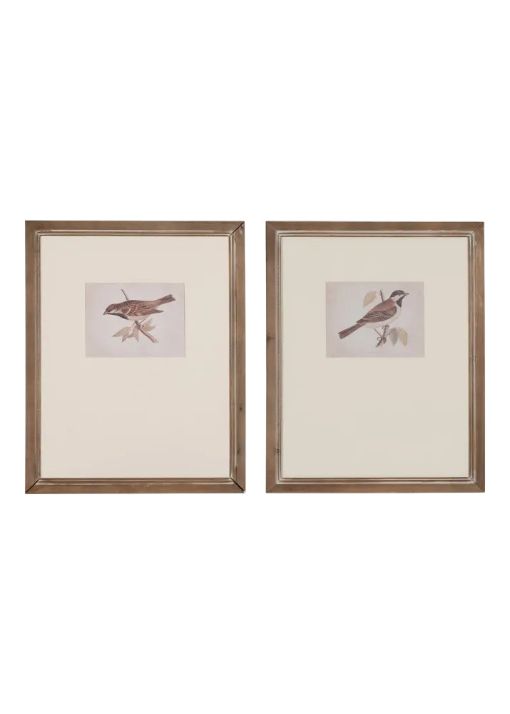 CUADRO IMPRESIÓN PÁJAROS 2/M 43 X 2 X 53 CM