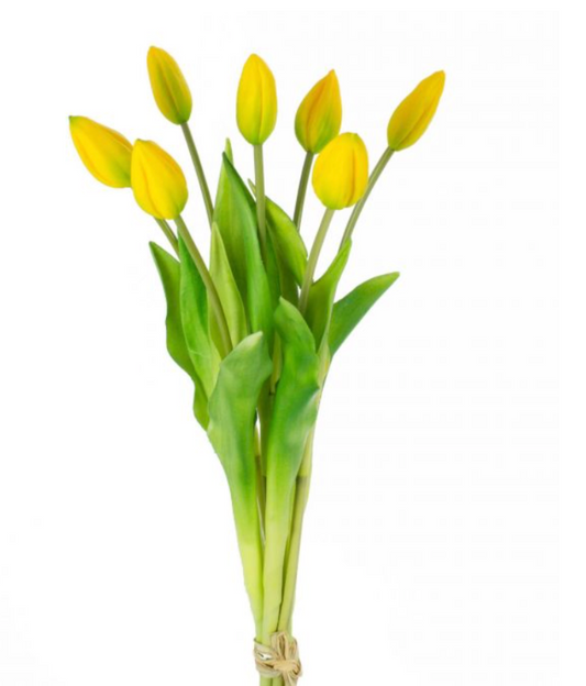 Bouquet Tulipán