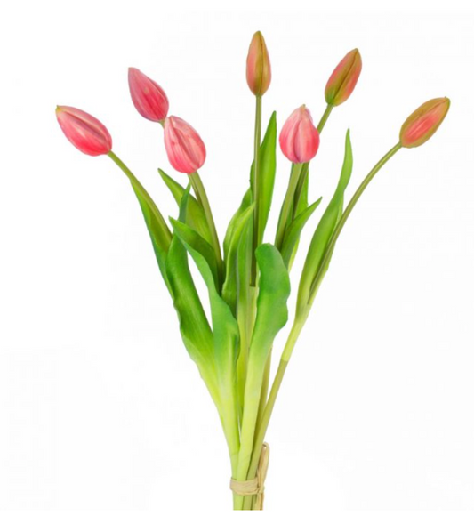 Bouquet tulipán